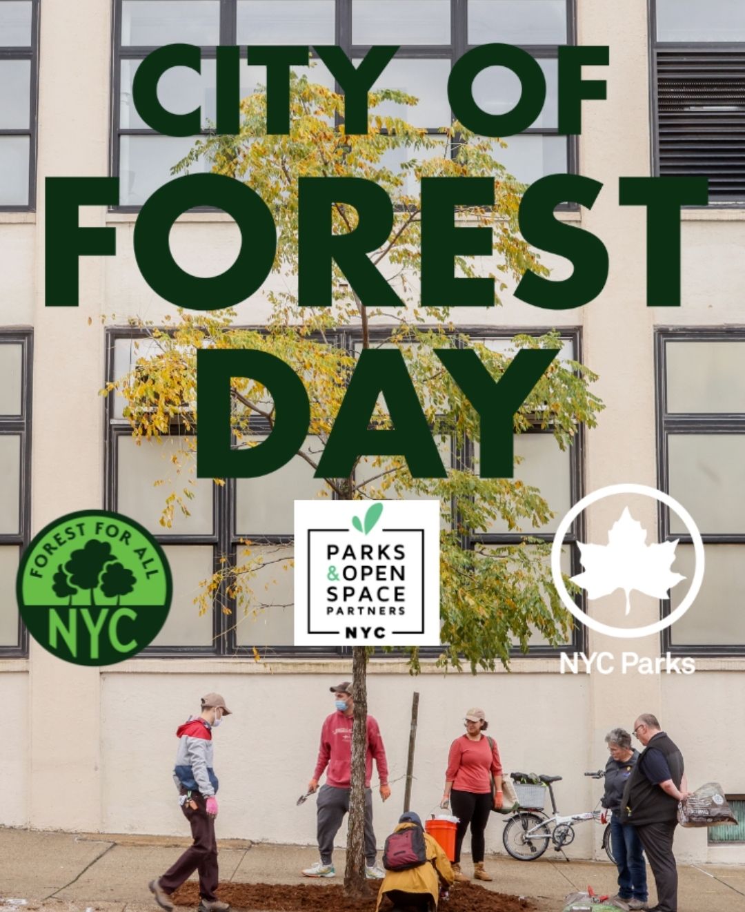 City of Forest Day