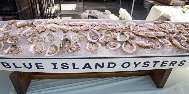 brooklyn oyster festival