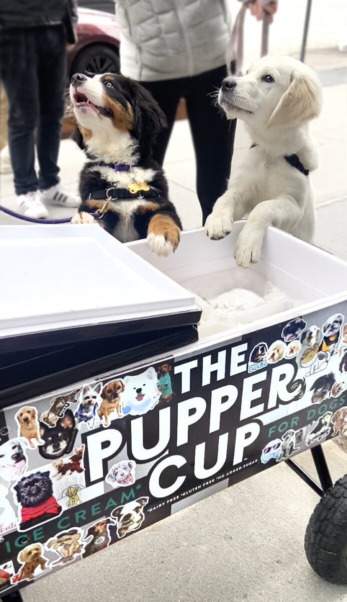 Pupper Cup