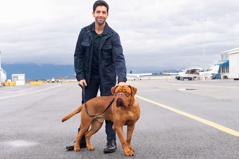 Turner-and-Hooch