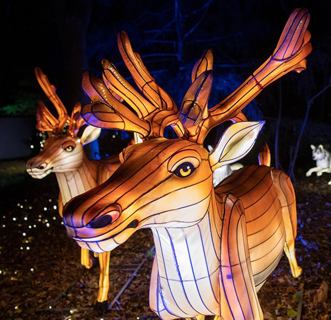 bronx zoo holiday