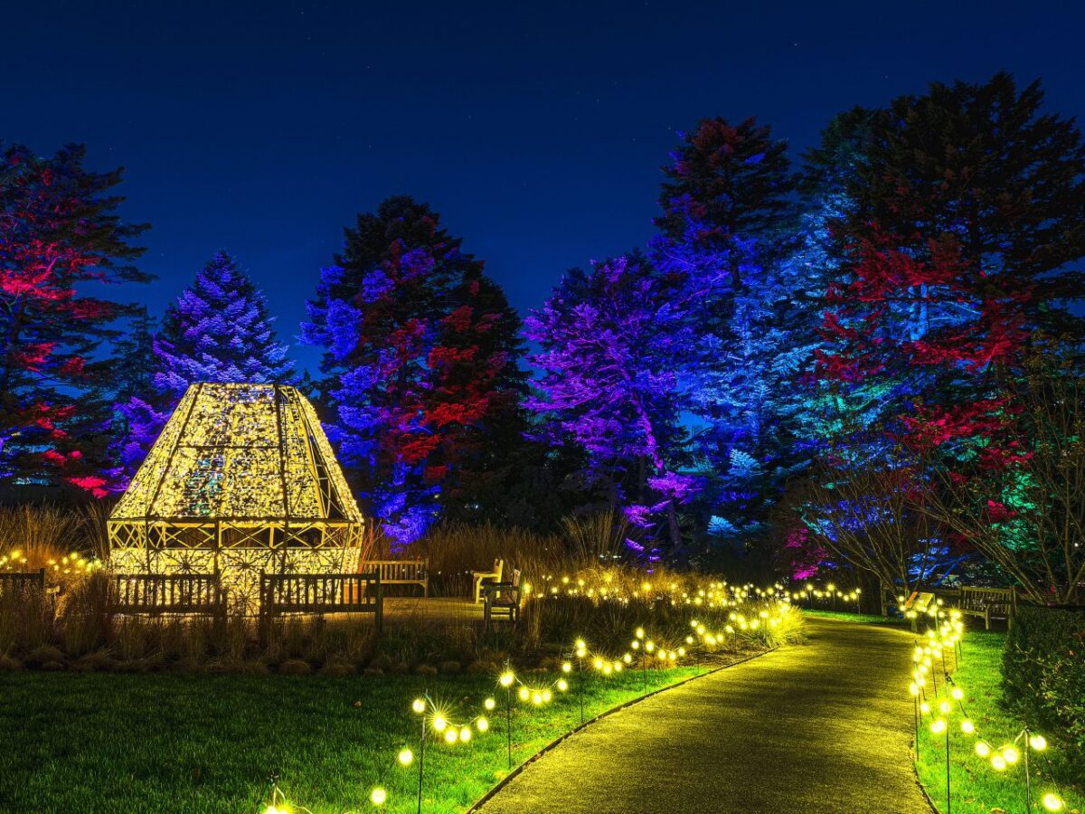 nybg glow
