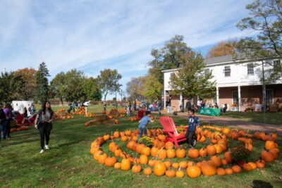 pumpkin-point