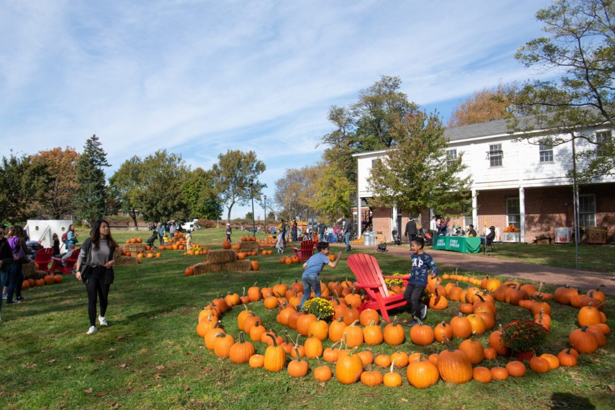 pumpkin-point