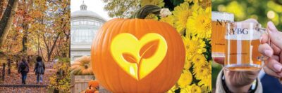 fall-o-ween