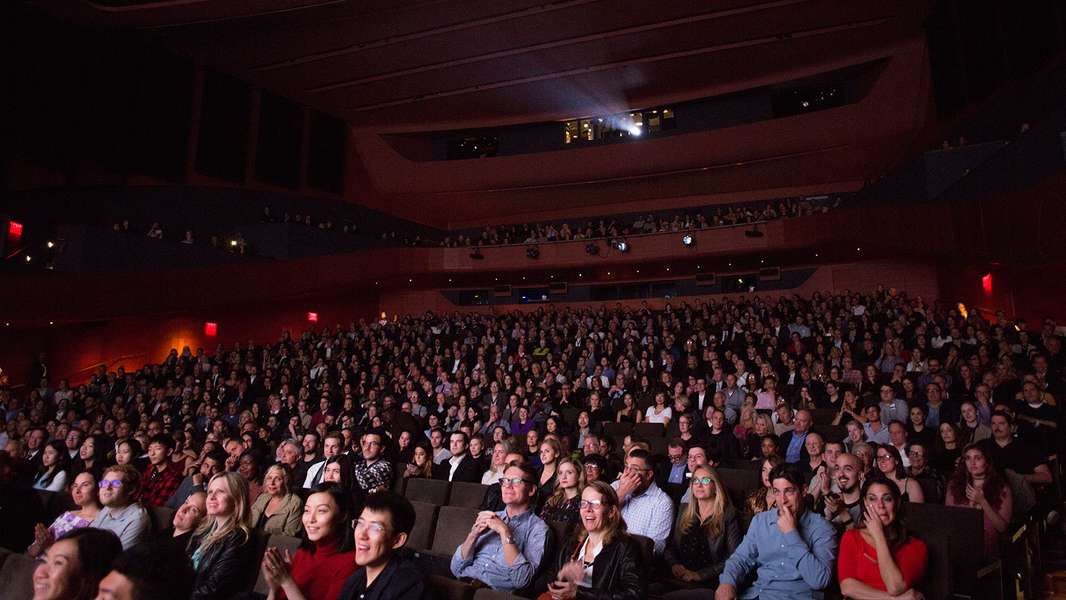 new york film fest