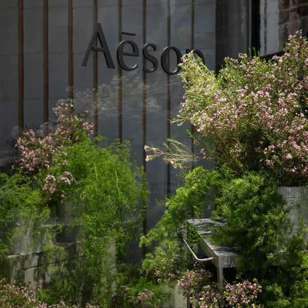 Aesop Gansevoort Street Aesop Gansevoort Street