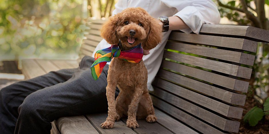 Manhattan West Woof Fest Paws for Pride