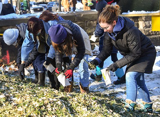NYC Parks Mulchfest