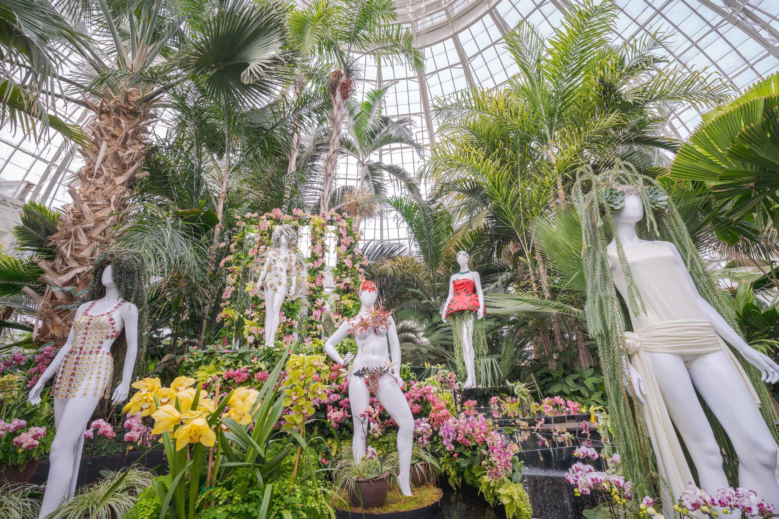 The Orchid Show 2024