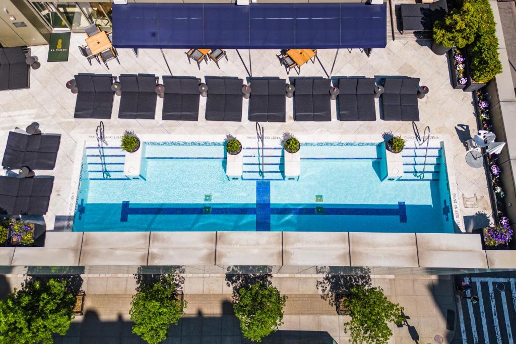 Rooftop Pool at The Dominick