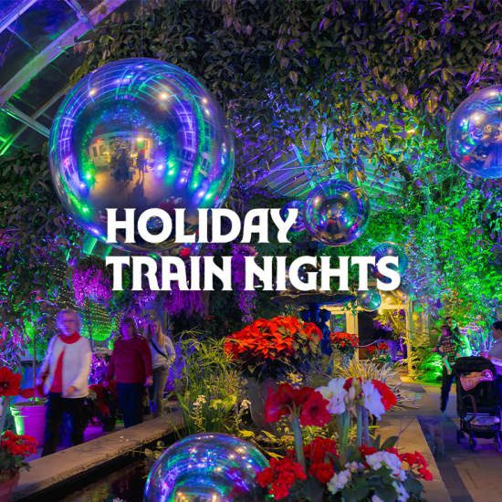 NYBG Holiday Train Nights
