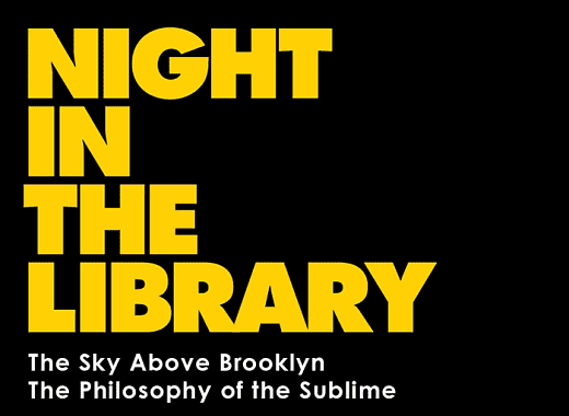 Brooklyn Public Library Night in the Library