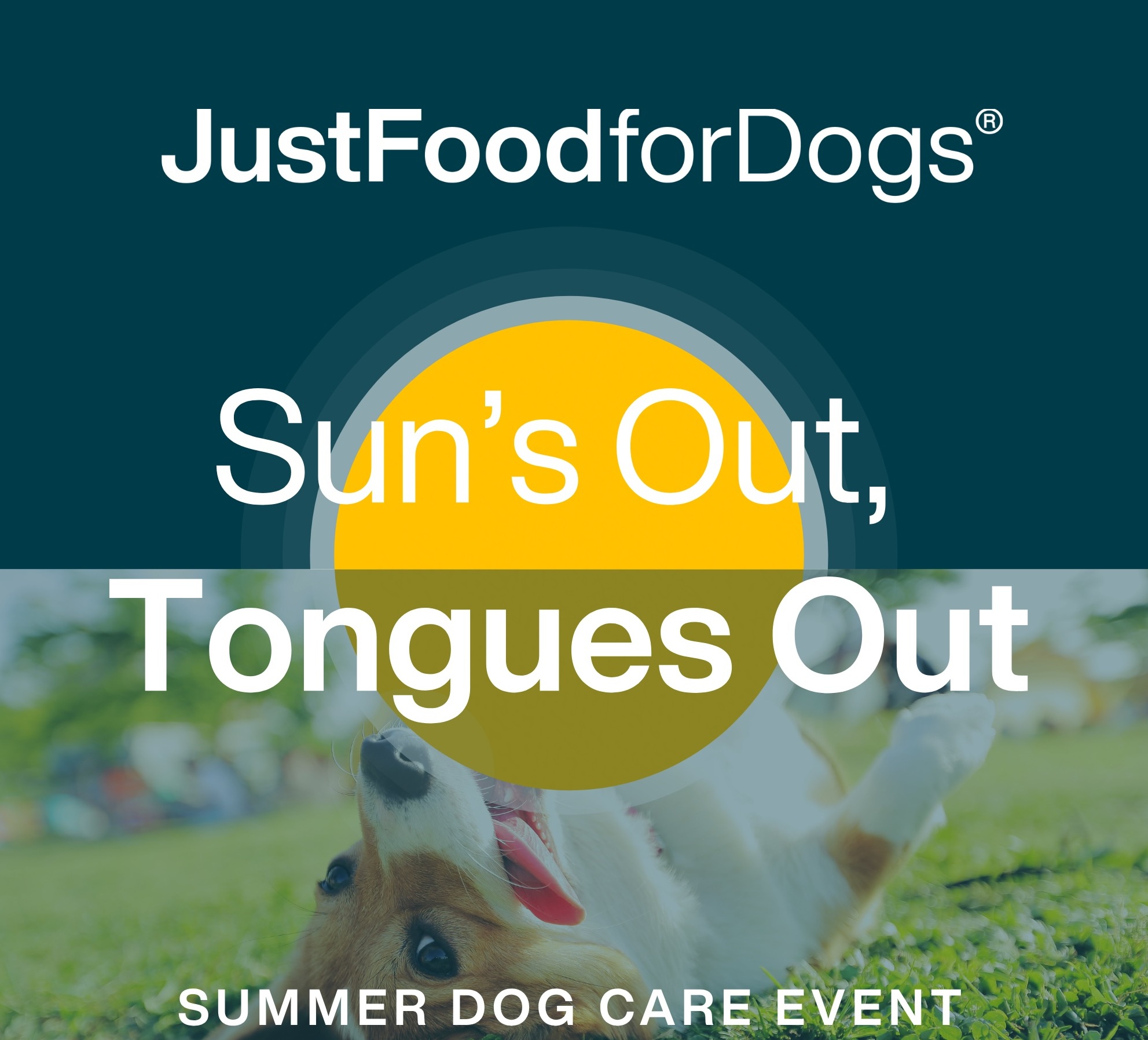 JustFoodForDogs 'Sun’s Out, Tongues Out' Summer Celebration