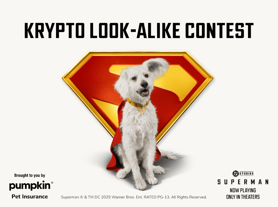 Pumpkin Pet Insurance Krypto the Superdog Look-Alike Contest