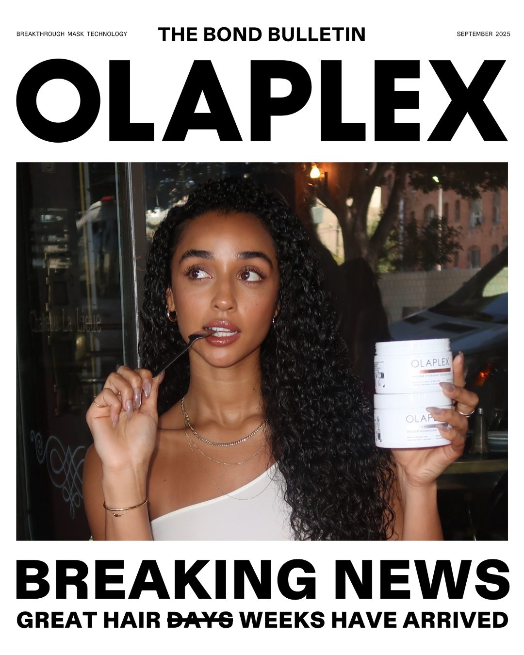 Olaplex The Mask Market