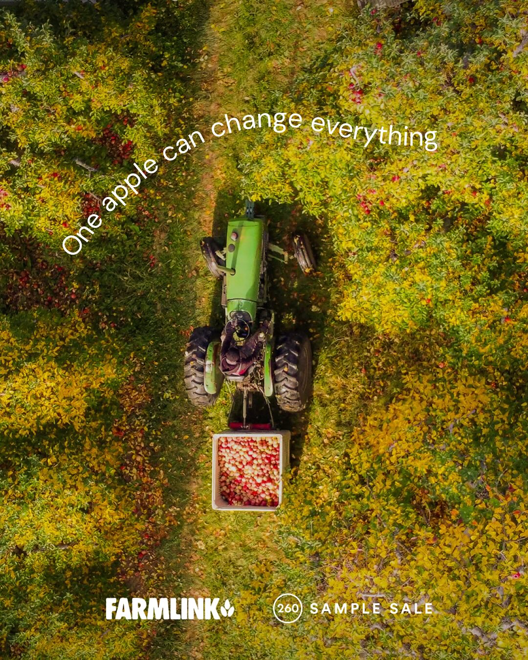 260 Sample Sale x The Farmlink Project Pop-up Apple Orchard