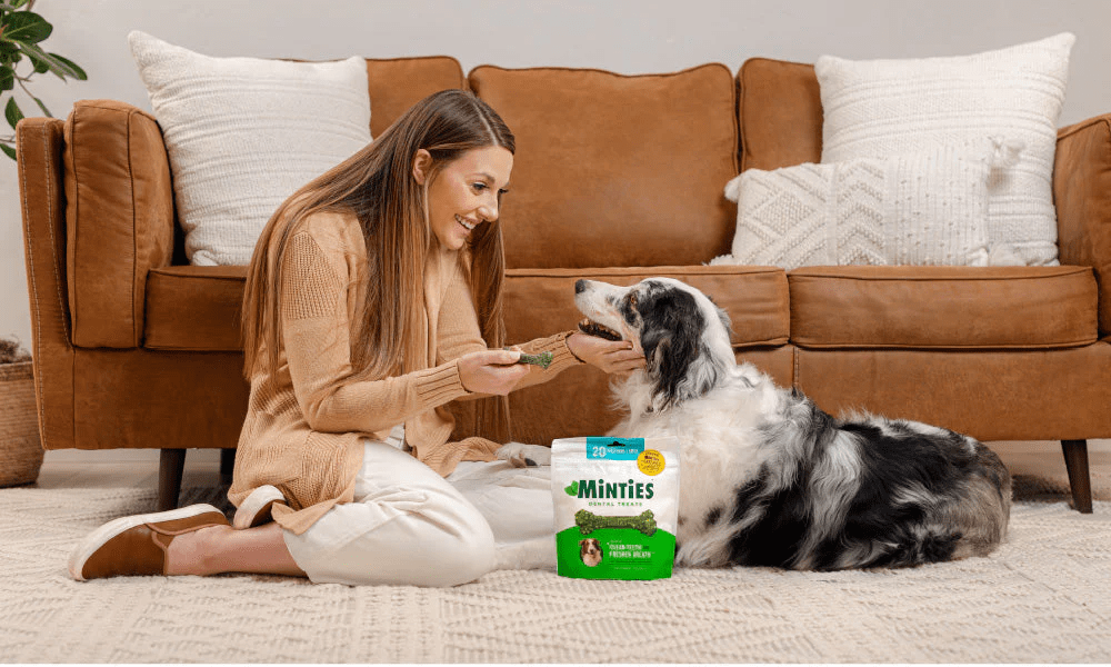 Minties FreshBites Holiday Refresh