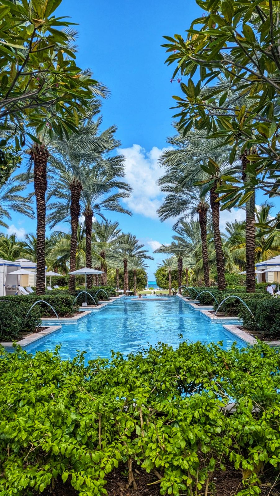 The Bahamas Culinary & Arts Festival