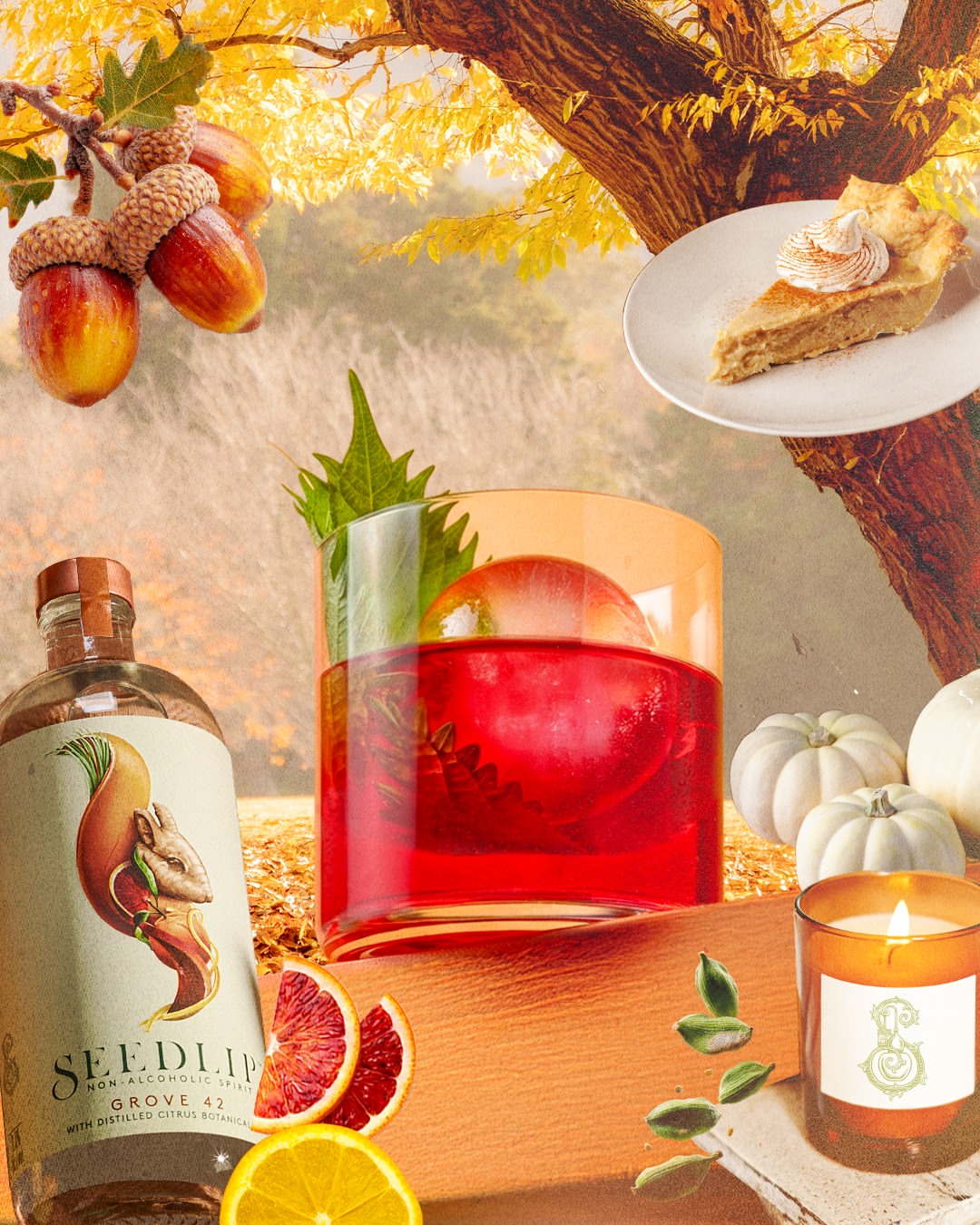 Seedlip Dry January Pop-up